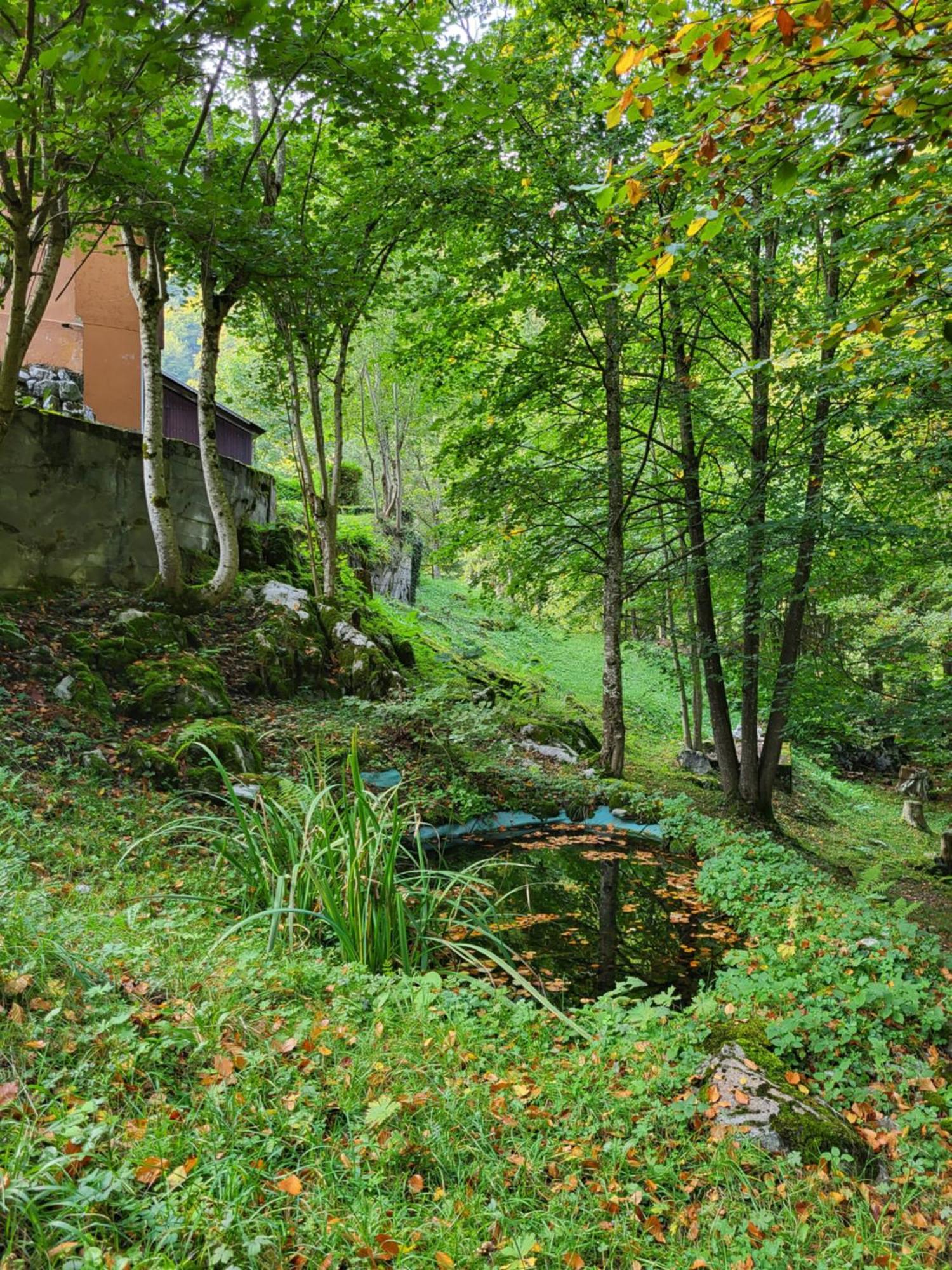 Ferienhaus Baerschwendi Лунгерн Экстерьер фото