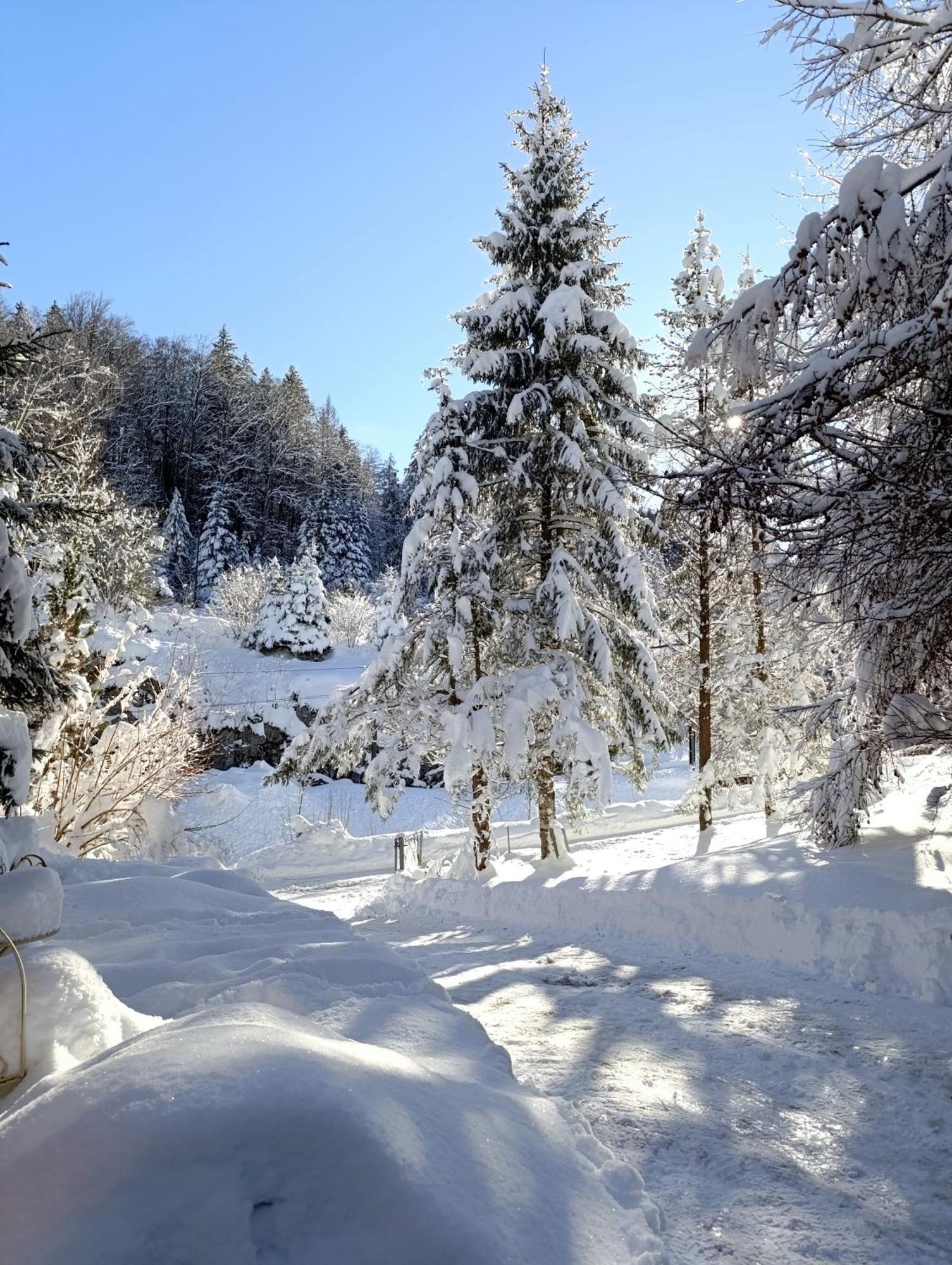 Ferienhaus Baerschwendi Лунгерн Экстерьер фото